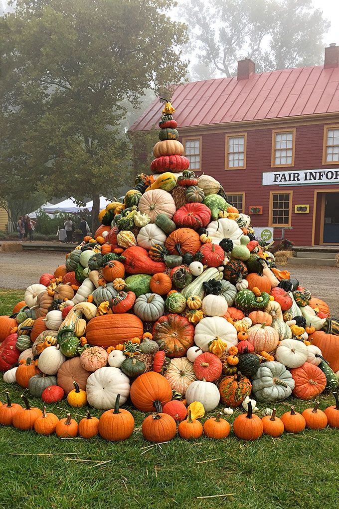 Easy Tree with Pumpkins